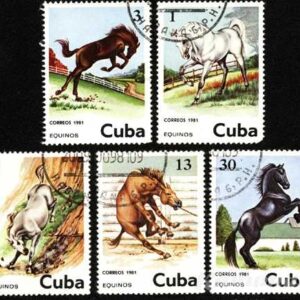 Марки лошади Куба 1981 год</a>