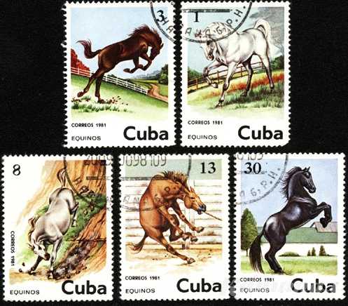 Марки лошади Куба 1981 год