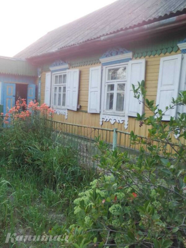 Дом в деревне Малый Быков