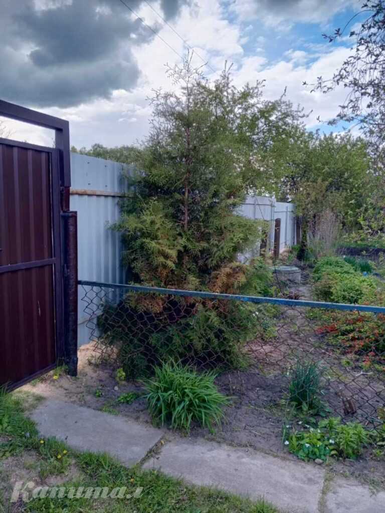 Продам дом а/г Горки Стародорожский р-н, 30 км от Слуцка