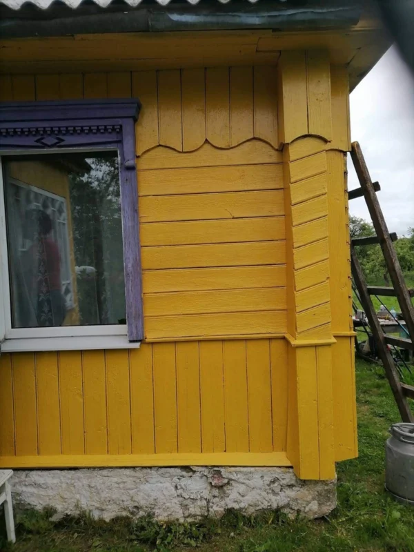Краска полимерная  