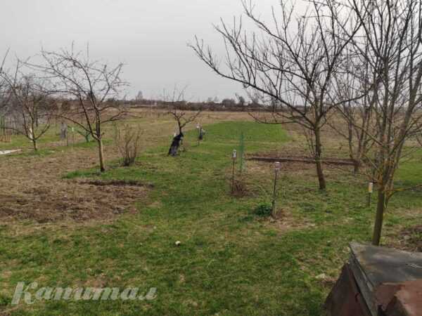 Продам дом в деревне Б. СЛИВА