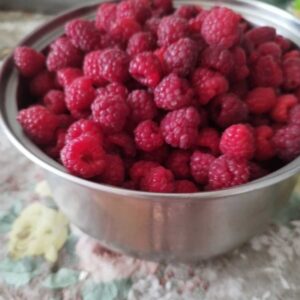 Продам садовую малину</a>