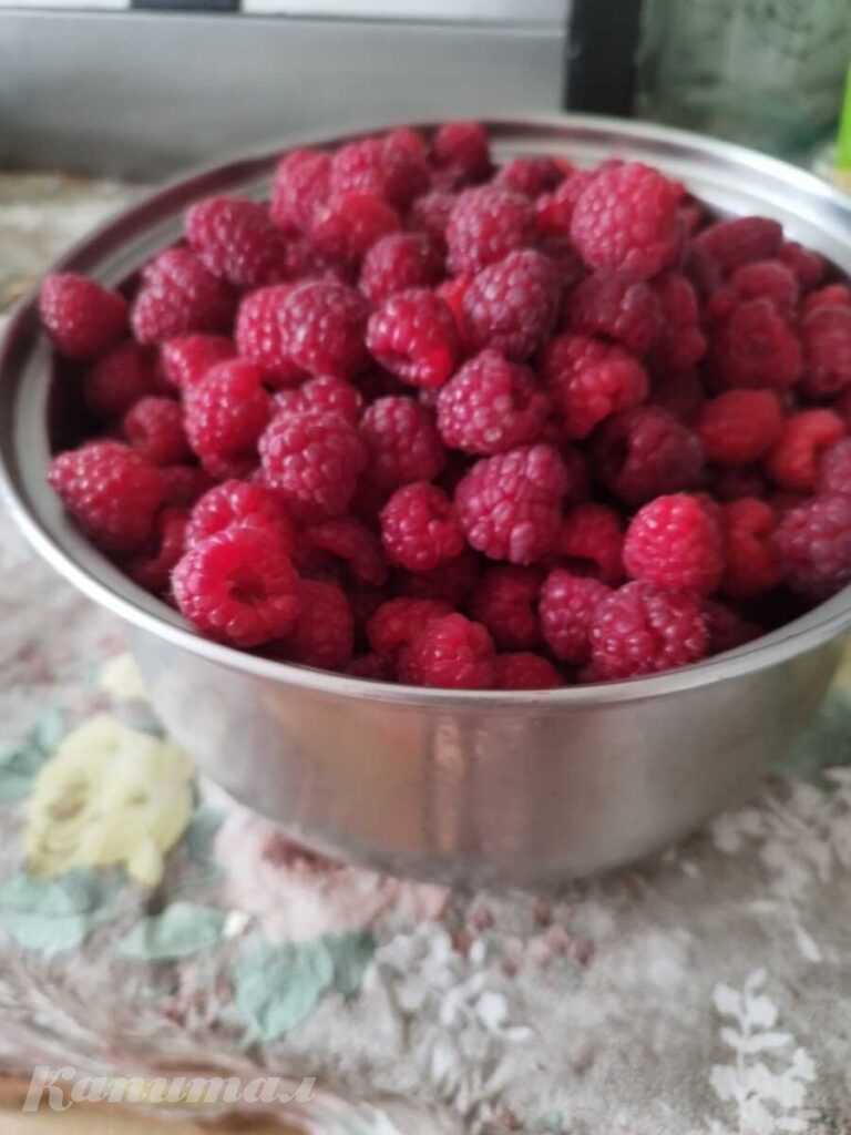 Продам садовую малину