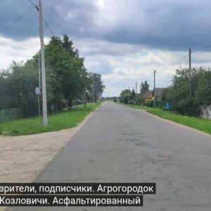 Дом в а/г  Козловичи</a>