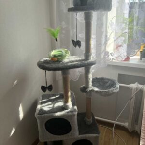 Домик для кошек</a>