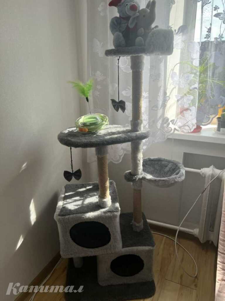 Домик для кошек