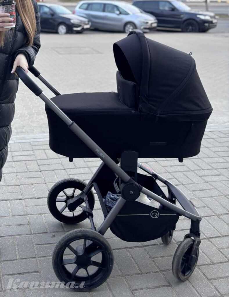 Детская универсальная коляска Rant Flex Pro 2 в 1 2023 / RA074 (черный)