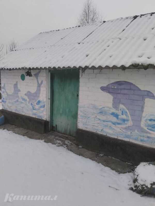 Продам дом копыльский район д Савкова