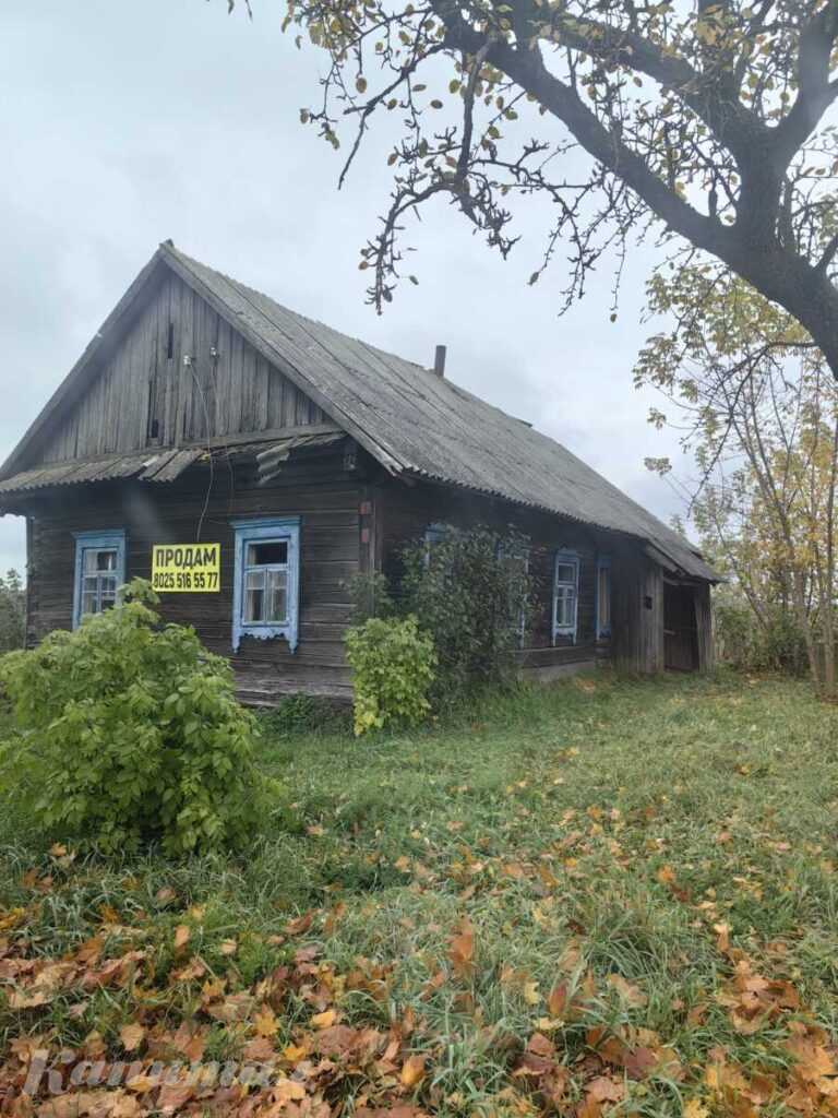 Дом в деревне Повстынь