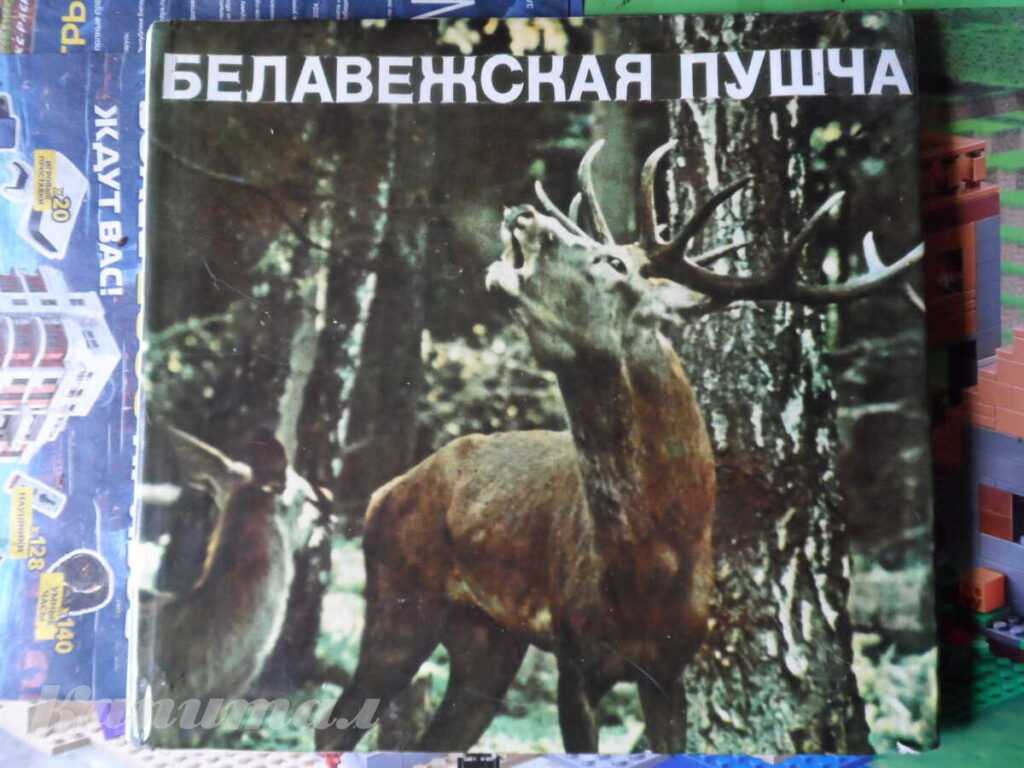 Альбом «Белавежская пушча»
