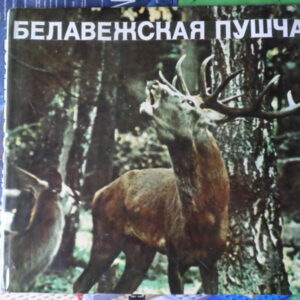 Альбом «Белавежская пушча»