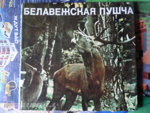Альбом «Белавежская пушча»
