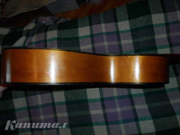 Классическая шестиструнная гитара